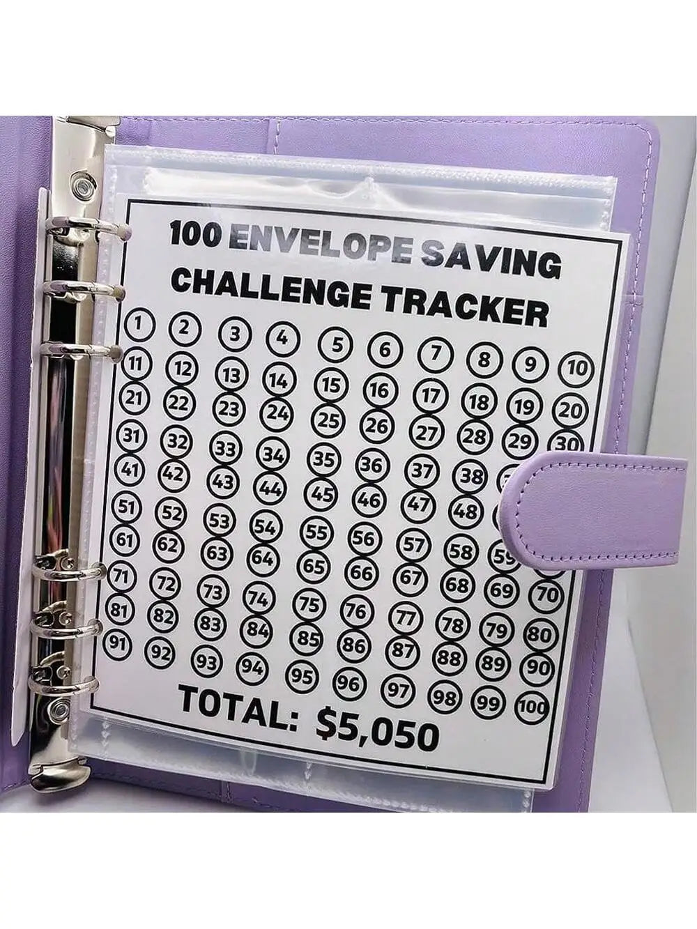 Financiële Vrijheid Start Hier: De Complete 100 Envelope Challenge Kit!
