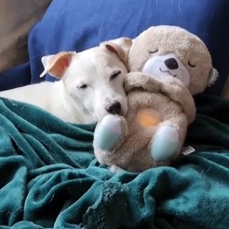 Kalmerende Otter-Knuffel: Een Zorgzame Knuffel voor Pups, Baby's en Volwassenen!